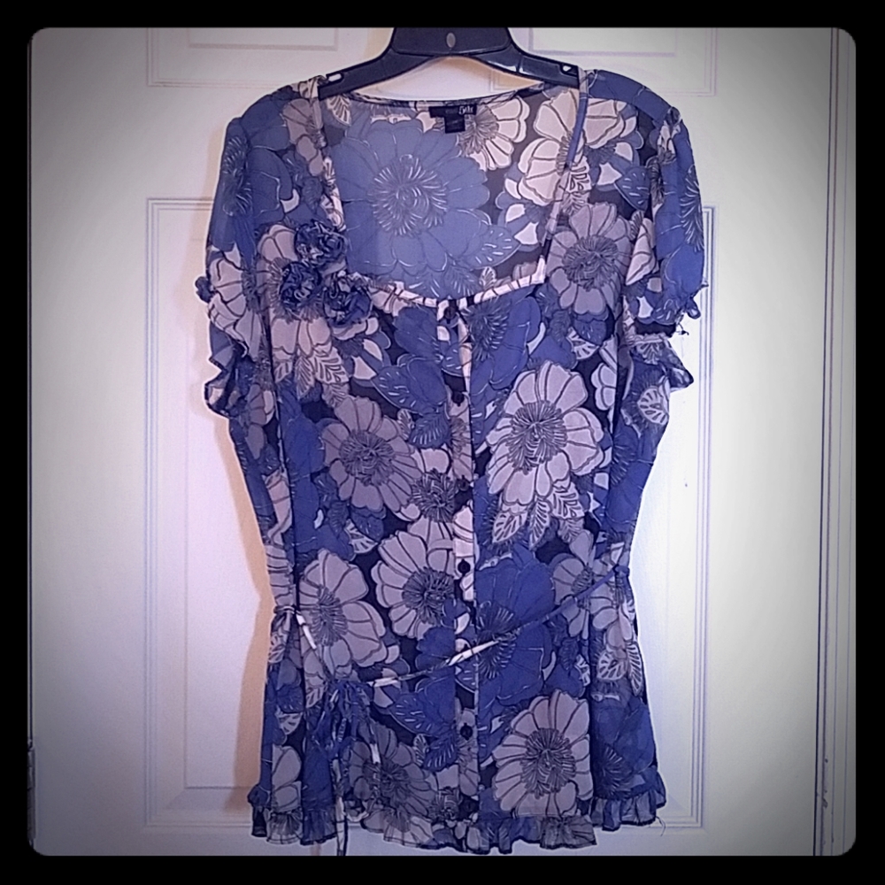 Shades of blue floral blouse 2x